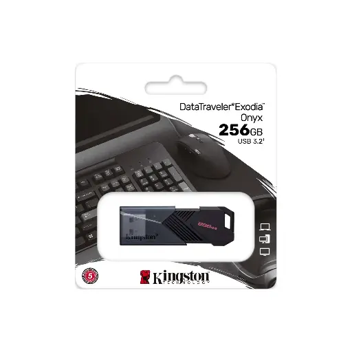 Memoria USB Kingston 256